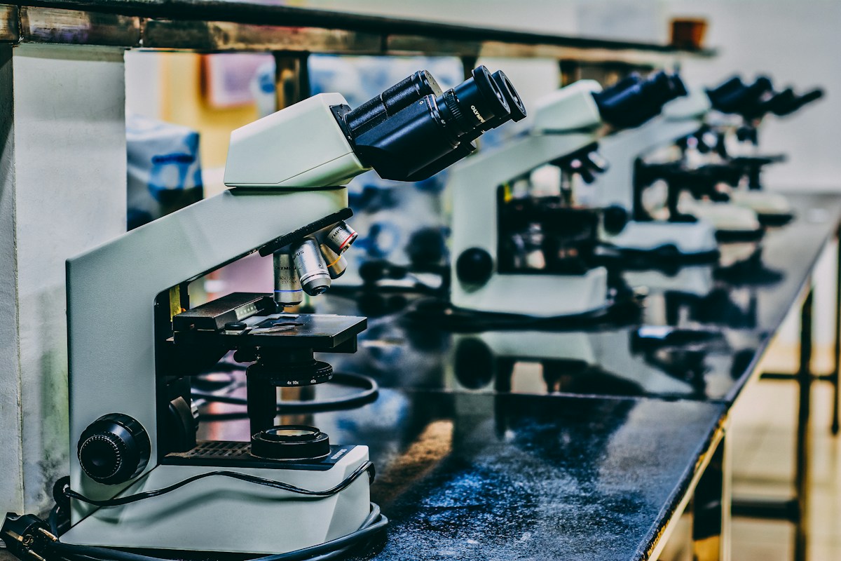 Microscopes arranged along a laboratory bench